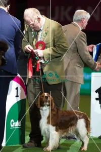 Gamekeepers Competition
