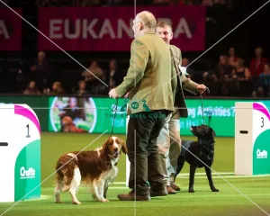 Gamekeepers Competition