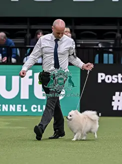 German Spitz Klein Prints: Gary Pearce from Middlesborough with Sam