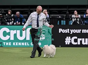 German Spitz Klein Prints: Gary Pearce from Middlesborough with Sam