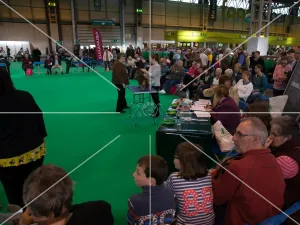 General judging shot