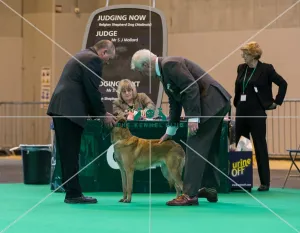 General judging shot