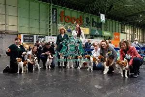 Kooikerhondje Prints: General shot of owners who are showing their Kooikerhondje