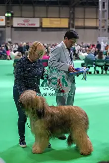 Briard Prints: Gilcoru Malbec D'Brie JW Gilcoru Malbec D'Brie JW