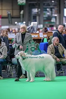 Breed Judging Prints: Gillandant Jasmine