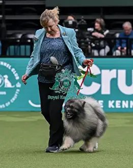 Keeshond Prints: Gillian Burbrunt from Rotherham with Darik