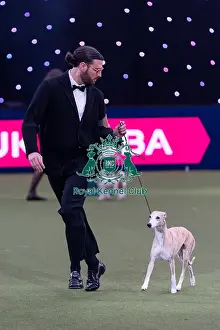 Best In Show Prints: Giovanni Liguori, from Italy, with Miuccia
