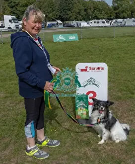 Third Place Prints: Golder Oldie Class Kennel Club Logo/Branding