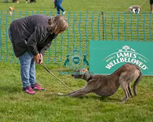 James Wellbeloved Prints: Golder Oldie Class Kennel Club Logo/Branding