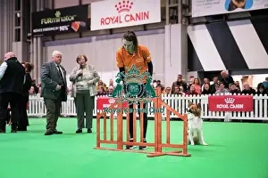 Crufts 2024 Good Citizen Bronze Display And Presentation Prints: Good Citizen Bronze Award Display at Crufts on Friday 8th March 2024 Kennel Club Good Citizen ring