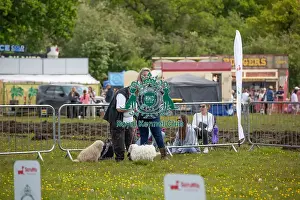 Good Citizen Dog Scheme Class Prints: Good Citizen Dog Scheme Class Chelmsford Scruffts Family Crossbreed Competition