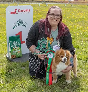 Good Citizen Dog Scheme Class Prints: Good Citizen Dog Scheme Class Dog Name: Fudge