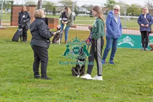 Good Citizen Dog Scheme Class Judging Dog Name