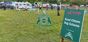Good Citizen Dog Scheme Class Prints: Good Citizen Dog Scheme Class Judging Scruffts Family Crossbreed Competition