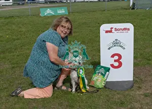 Third Place Prints: Good Citizen Dog Scheme Class Owner Name: Paula Robb