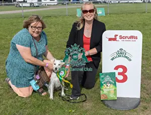 Good Citizen Dog Scheme Class Owner Name: Paula Robb