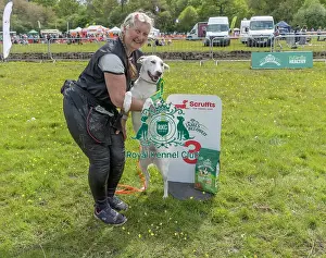 Third Place Prints: Good Citizen Dog Scheme Class Scruffts Family Crossbreed Competition