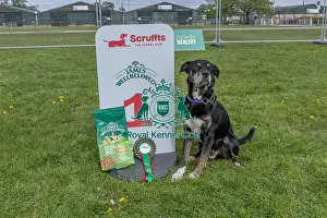 Good Citizen Dog Scheme Class Scruffts Heat Dog Name