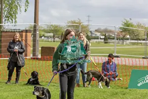 Sponsors Name Prints: Good Citizen Dog Scheme Class Scruffts Heat Dog Name