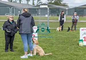 Sponsors Name Prints: Good Citizen Dog Scheme Class Scruffts Heat Newark