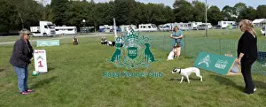 Good Citizen Dog Scheme Class Prints: Good Citizen Dog Scheme Class Sunday 15th September 2024