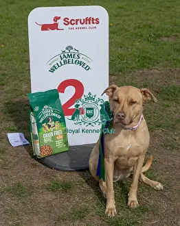 Dog Only Prints: Good Citizen Dog Scheme Class Sunday 15th September 2024