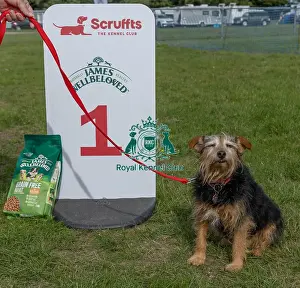 Dog Only Prints: Good Citizen Dog Scheme Class Sunday 15th September 2024