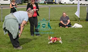 Good Citizen Dog Scheme Class Prints: Good Citizen Dog Scheme Class Sunday 15th September 2024