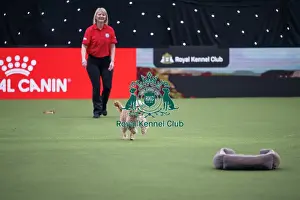 Crufts 2026 Main Arena Prints: Good Citizen Dog Training Scheme Display