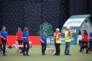 Crufts 2026 Main Arena Prints: Good Citizen Dog Training Scheme Display
