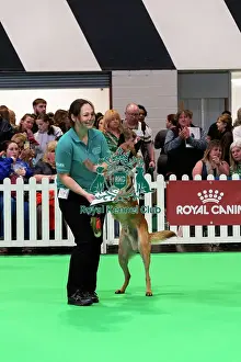 Winners Prints: Good Citizen Special Pre-Beginner Obedience Stakes Winner