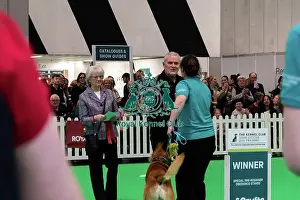 Winners Prints: Good Citizen Special Pre-Beginner Obedience Stakes Winner