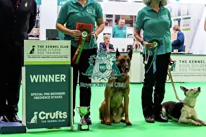 Winners Prints: Good Citizen Special Pre-Beginner Obedience Stakes Winners