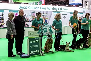 Winners Prints: Good Citizen Special Pre-Beginner Obedience Stakes Winners