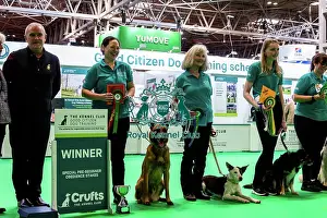 Winners Prints: Good Citizen Special Pre-Beginner Obedience Stakes Winners