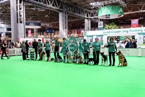 Good Citizen Special Pre-Beginner Obedience Stakes Winners