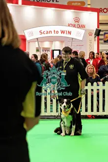 Crufts 2025 General Photography Prints: Good Citizen Training