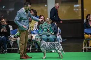 Breed Judging Prints: Goorialla's Dream Belfagor Goorialla's Dream Belfagor