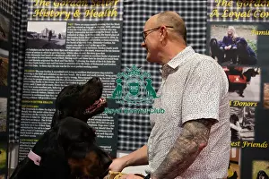 Gordon Setter Prints: Gordon Setters With Owner Keith Whiting Discover Dogs