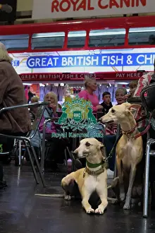 Hall 1 Prints: Great British Fish and Chips - Hall 1