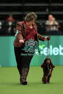 Gretel Osborn from Aylesbury with Esther, a Field Spaniel, which was the Best of Breed winner today (Thursday 09. 03. 23), the first day of Crufts 2023, at the NEC Birmingham