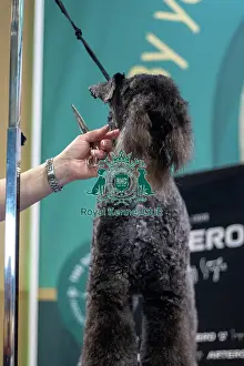 Grooming Prints: Grooming Demostration