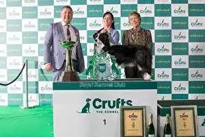 Group Winner 1st place Border Collie