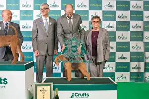Group Winner 2nd place Terrier LAKELAND TERRIER Crufts 2022