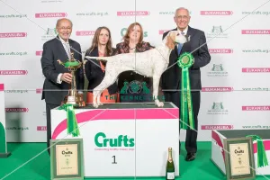 Gundog Group - winner
