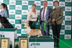 Group Winner Pastoral 2nd place WELSH CORGI (PEMBROKE) Crufts 20 Group Winner Pastoral 2nd place WELSH CORGI (PEMBROKE) Crufts 20