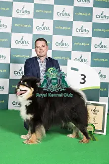 Group Winner Pastoral 3rd place FINNISH LAPPHUND