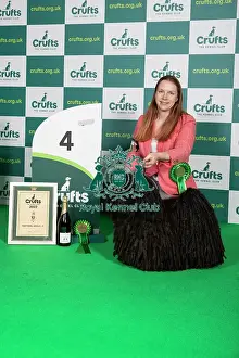 Standing Prints: Group Winner Pastoral 4th place Hungarian Puli