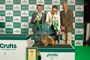 Group Winner Toy 2nd place Pomeranian