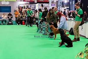 Have A Go Gundog Prints: Have A Go Gundog